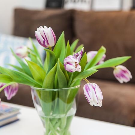 Skolo Apartment Сельфосс Екстер'єр фото